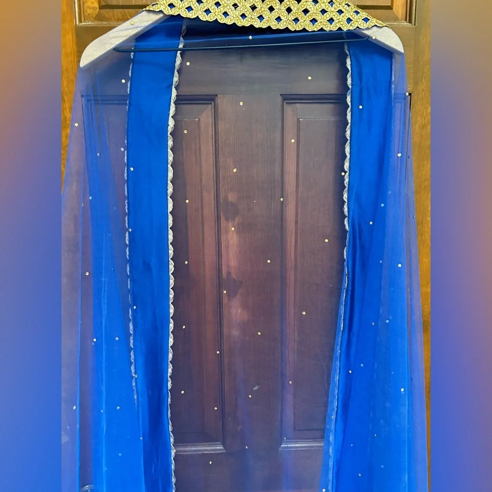 Royal Blue Net Dupatta with Gold Lace Border - Picture 8 of 10